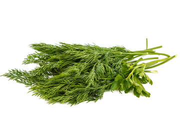 Bunch of fresh dill and parsley isolated on a white background