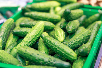 cucumbers in boxes