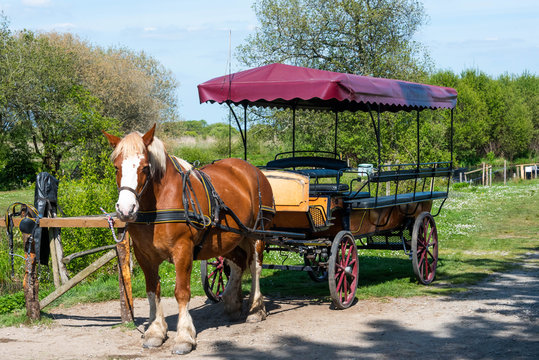 Promenade en cal&egrave;che