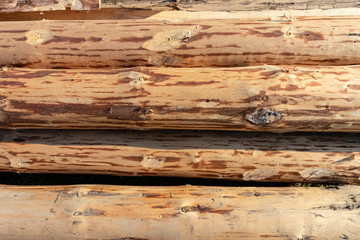 Naklejka premium wood texture background