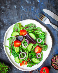 Healthy salad, leaves mix salad (mix micro greens, cucumber, tomato, onion, other ingredients). food background. copy space for text