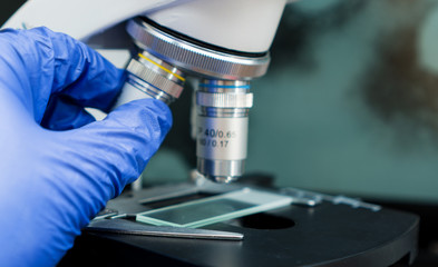 Virologist's hand in glove using microscope.