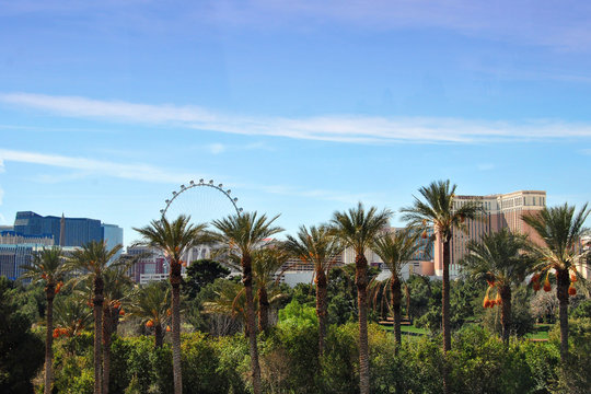 Skyline Of Las Vegas At Day, Nevada, USA, America