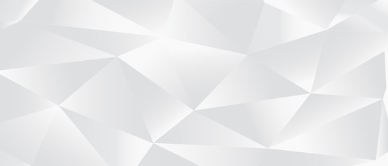 Obraz premium White silver geometric universal background for business presentation . Abstract elegant seamless pattern. Minimalist empty triangular BG. 3d design for flyer, presentation, business card, ad brochure