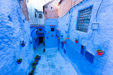 Old blue door and plants in an alley in Chefchaouen, the blue city of Morocco. Urban concept