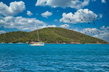 Obraz premium A catamaran anchored in the blue water off a green Caribbean island