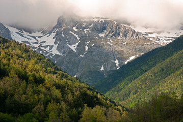 Primavera en el Pirineo aragonés.
