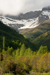 Primavera en el Pirineo aragonés.