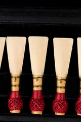 Bassoon reeds inside a box on a black background.