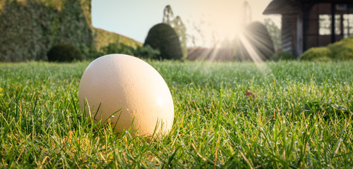Easter egg hunt theme. One white natural egg on the lawn in the garden on a sunny morning.