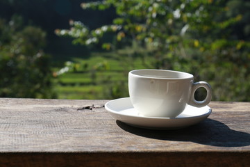 Fototapeta na wymiar Coffee break at the jungle