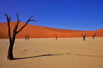 Fototapeta na wymiar sossusvlei namibia 