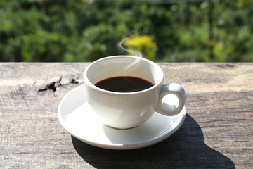 Coffee break at the jungle