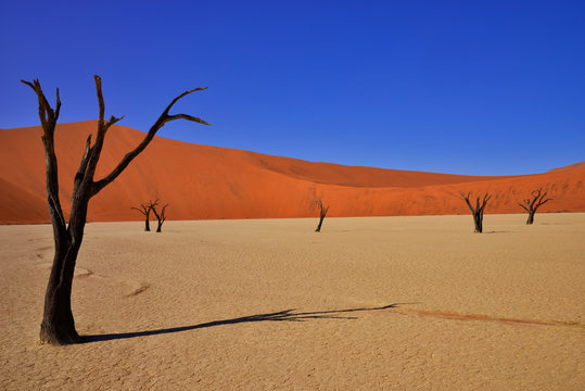 sossusvlei namibia 