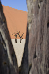 sossusvlei namibia 