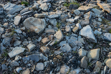 stones on the beach