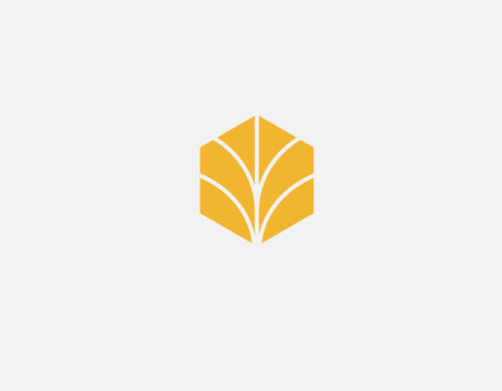 Abstract Creative Geometric Logo Icon Orange Leaf Plant For Your Company