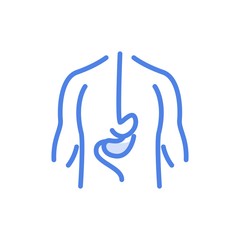 Vector abstract minimal human body anatomy internal organs schema illustration