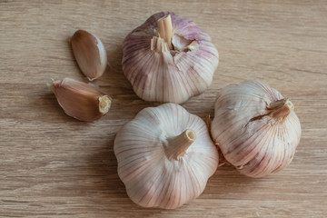 winter garlic close-up on a wooden background