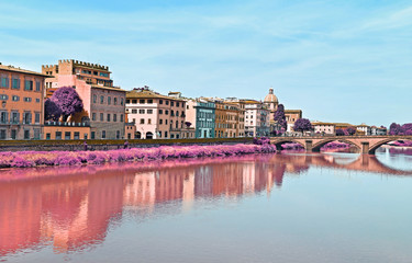 Fototapeta na wymiar infrared artistic scenery of Arno river in Florence city Italy
