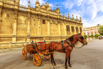Naklejka premium Spanish horse parked near Seville Cathedral, a Roman Catholic cathedral and largest Gothic church, is one of sightseeing tourist attractions of Seville in Andalusia, Spain: horse carriage rides.