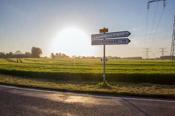 Road in Normandy . Amazing sunset and  cereal field . Agriculture  and nature in Normandy .