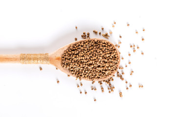 Coriander grains in a wooden spoon on a white background. Concept, copy space.