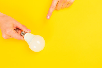  Beautiful young woman's hands holding bulb   on pastel  background.
