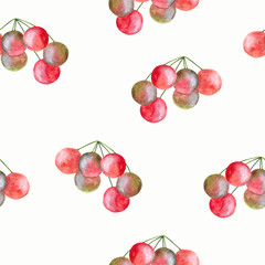 Fototapeta na wymiar Purple-red watercolor berries on white background: juicy seamless pattern, tender textile print, summer wallpaper design.