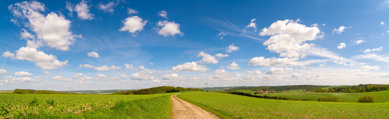 Green field with plants and country road