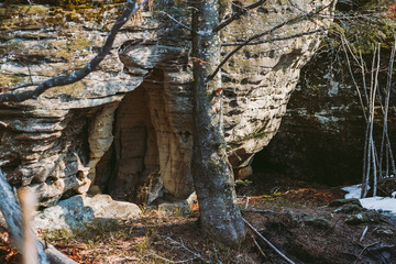 Spring forest, mountains, macro, lake, rocks