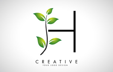 Leaf Letter H Logo Design with Green Leaves on a Branch. Letter H with nature concept.