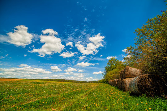 meadow with dandelions, haystack on the side by bushes, blue sky with white clouds