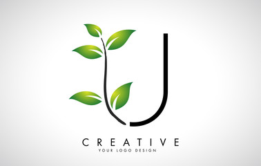 Leaf Letter U Logo Design with Green Leaves on a Branch. Letter U with nature concept. © ankreative