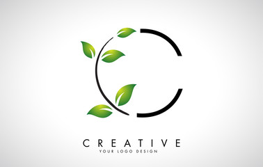 Obraz premium Leaf Letter C Logo Design with Green Leaves on a Branch. Letter C with nature concept.