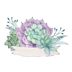 Cute watercolor hand drawn illustration of succulents isolated on a white background, for Valentine's Day greeting card, wedding card, romantic prints and scrapbooking. - 337296948
