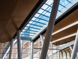 wood-paneled ceiling of a modern building with large glass windows and columns