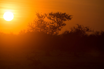 Obraz na płótnie Canvas tramonto africano