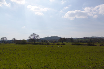 welsh landscape with field and sky