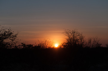 Fototapeta na wymiar tramonto africano