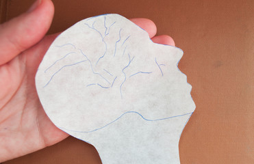 hands holding encephalography brain paper cutout, Epilepsy awareness, seizure disorder, mental health concept, World Parkinson's Day, World Alzheimer's Day	
