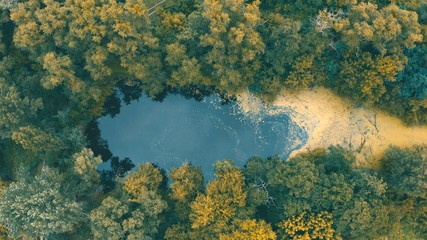 top view of a mysterious scary lake, a strange place with unusual energyin the green northern Pine forests, lungs of the planet, on the bay - Aerial Flight 