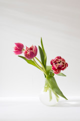 Three red terry tulips in a round vase