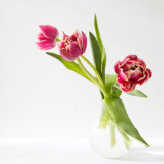 Three red terry tulips in a round vase