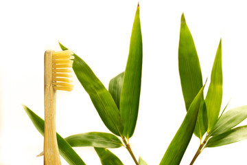 Bamboo toothbrush. Ecological element of hygiene. Ideal for making changes at home to curb climate...