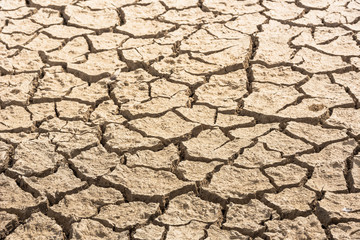Cracked soil due to global warming. Detail shot. Texture.