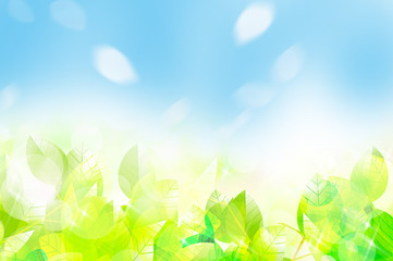 リーフ 葉 葉っぱ 木 樹 新緑 樹木 光 植物 爽やか 背景 風景 Eco エコロジー 環境 初夏 夏 イラスト 素材 木漏れ日 グリーン 枝 木陰 空 若葉 エコロジーイメージ 青葉 文字スペース バックグラウンド 緑 季節 四季 木の葉 キラキラ