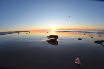 Fototapeta na wymiar seashell in the sand at sunset
