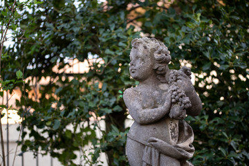 Fototapeta na wymiar The courtyard statue decorations in a sunny day. The boy statue is standing look away. Close up white boy angel statue of white stone in cute gesture with blurred background of green plants in botanic