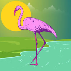 Beautiful pink flamingo on the shore of the lake against the background of green meadows and sunset